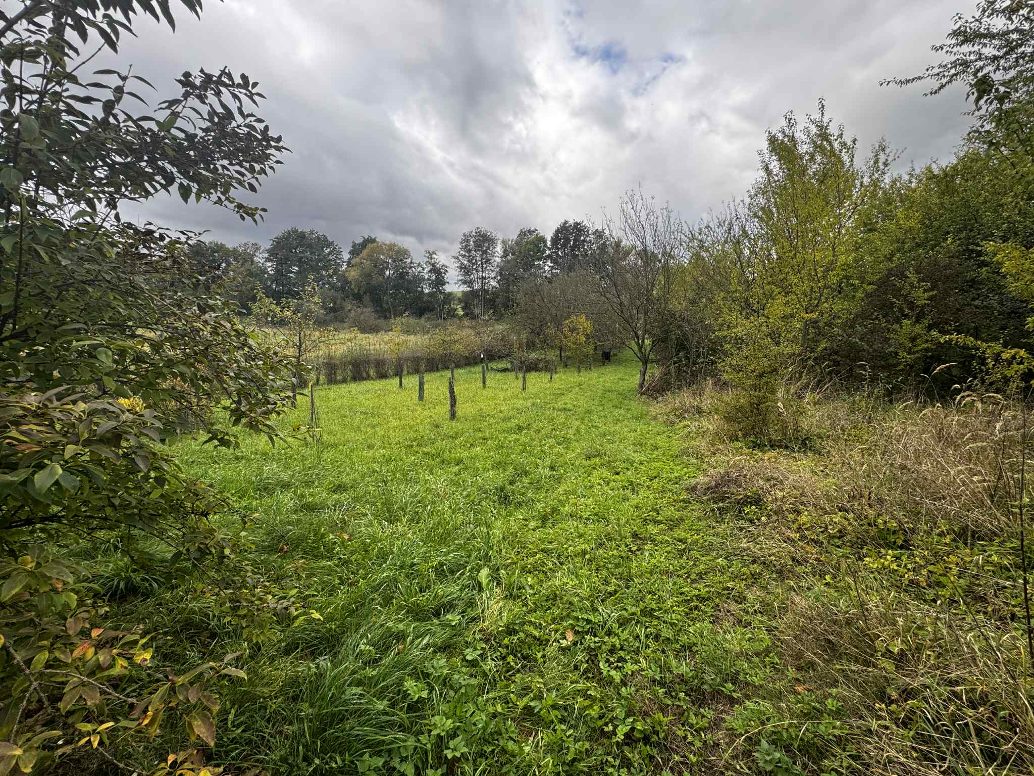 Prodej zahrady 1872m2, Soběchleby